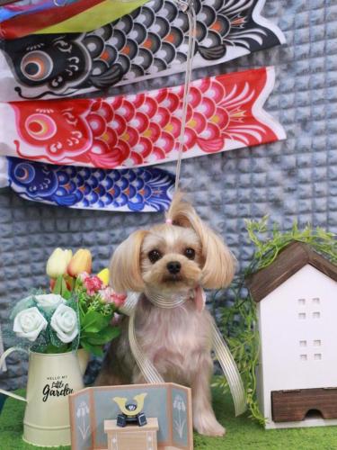 20230502ぷぅちゃん